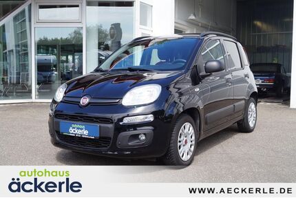 Fiat Panda Gebrauchtwagen