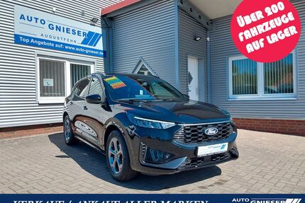 Ford Kuga Gebrauchtwagen