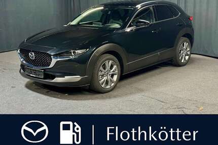 Mazda CX-30 Gebrauchtwagen