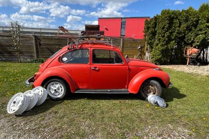 VW Käfer Gebrauchtwagen