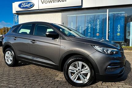 Opel Grandland (X) Gebrauchtwagen