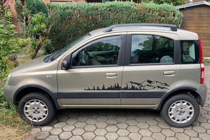Fiat Panda Gebrauchtwagen