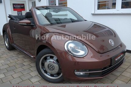 VW Beetle Gebrauchtwagen
