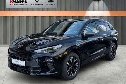 Cupra Terramar Gebrauchtwagen