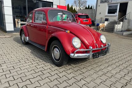 VW Käfer Gebrauchtwagen