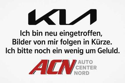 Kia Sorento Gebrauchtwagen