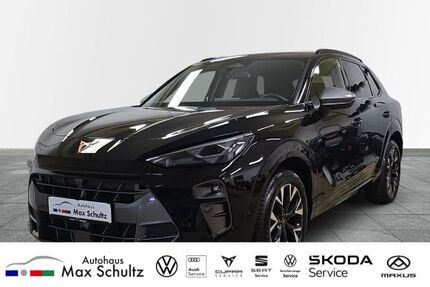 Cupra Terramar Gebrauchtwagen