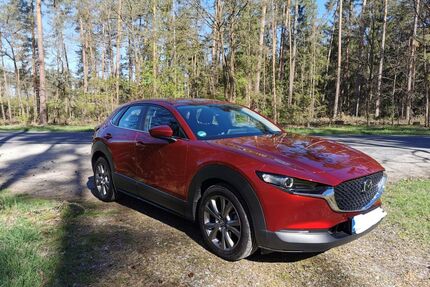 Mazda CX-30 Gebrauchtwagen
