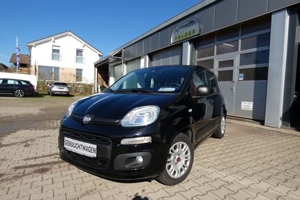 Fiat Panda Gebrauchtwagen