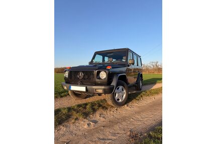 Mercedes-Benz G 320 Gebrauchtwagen