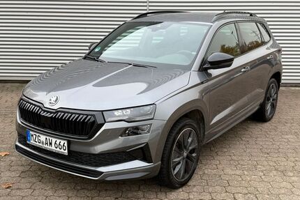 Skoda Karoq Gebrauchtwagen