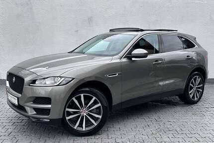 Jaguar F-Pace Gebrauchtwagen