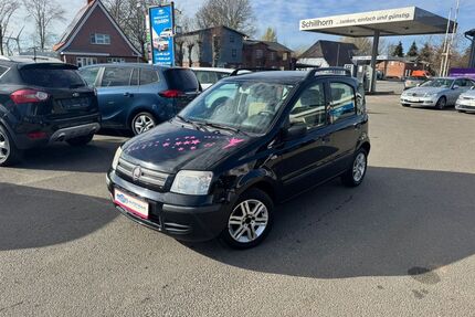 Fiat Panda Gebrauchtwagen