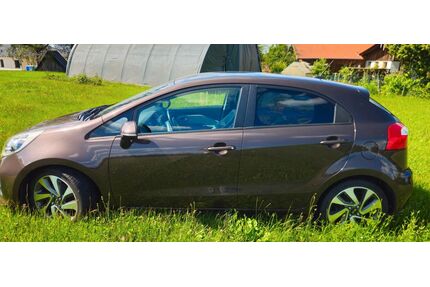 Kia Rio Gebrauchtwagen