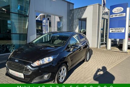 Ford Fiesta Gebrauchtwagen