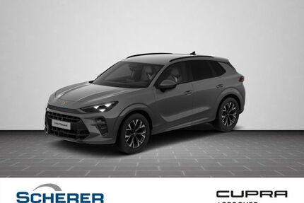 Cupra Terramar Gebrauchtwagen