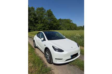 Tesla Model Y Gebrauchtwagen