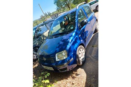 Fiat Grande Panda Gebrauchtwagen