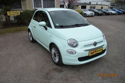 Fiat 500 Gebrauchtwagen