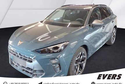 Cupra Terramar Gebrauchtwagen