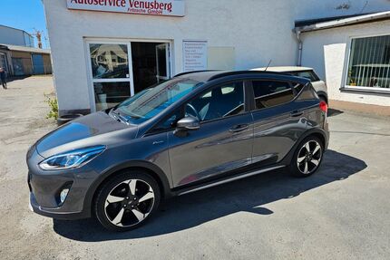 Ford Fiesta Gebrauchtwagen