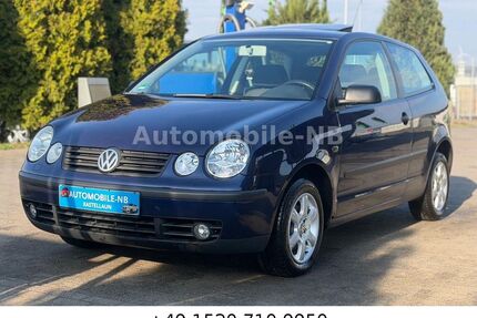 VW Polo Gebrauchtwagen