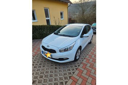 Kia ceed / Ceed Gebrauchtwagen