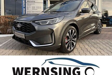 Ford Kuga Gebrauchtwagen