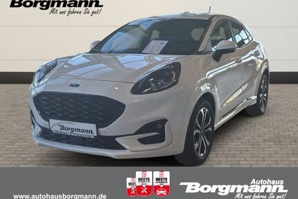 Ford Puma Gebrauchtwagen