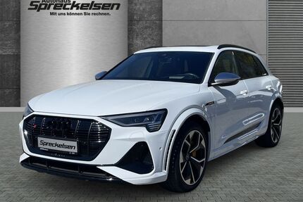 Audi e-tron Gebrauchtwagen