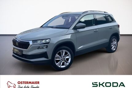 Skoda Karoq Gebrauchtwagen