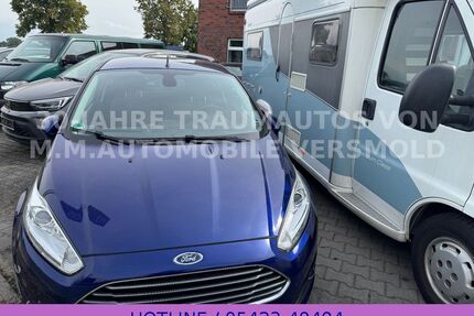 Ford Fiesta Gebrauchtwagen