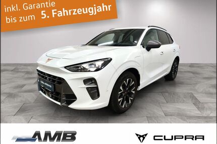 Cupra Terramar Gebrauchtwagen