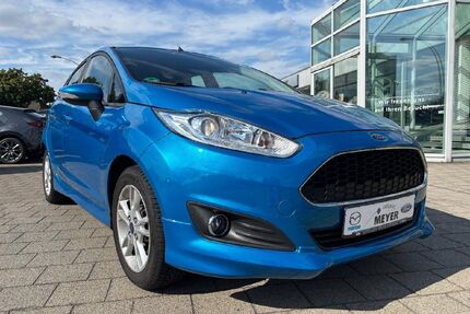Ford Fiesta Gebrauchtwagen