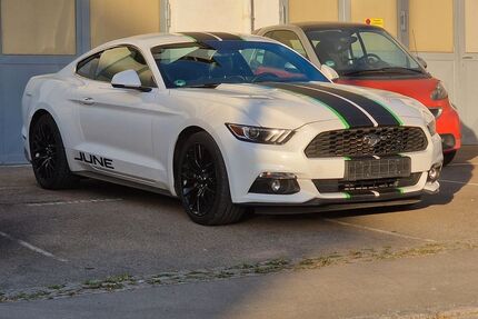 Ford Mustang Gebrauchtwagen