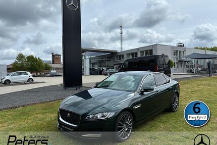 Jaguar XF Gebrauchtwagen
