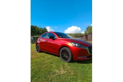 Mazda 2 Hybrid Gebrauchtwagen