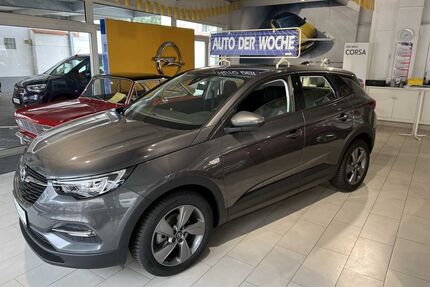 Opel Grandland (X) Gebrauchtwagen