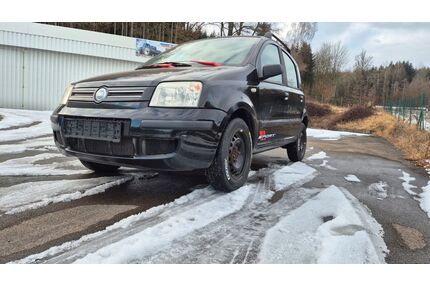 Fiat Panda Gebrauchtwagen
