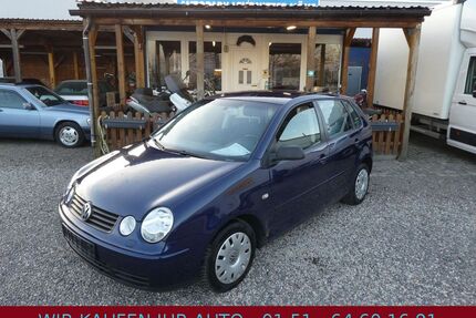 VW Polo Gebrauchtwagen