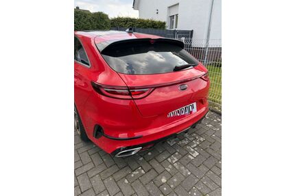 Kia pro ceed / ProCeed Gebrauchtwagen