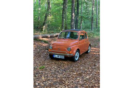 Fiat 500 Gebrauchtwagen