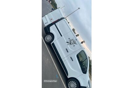 Renault Trafic Gebrauchtwagen