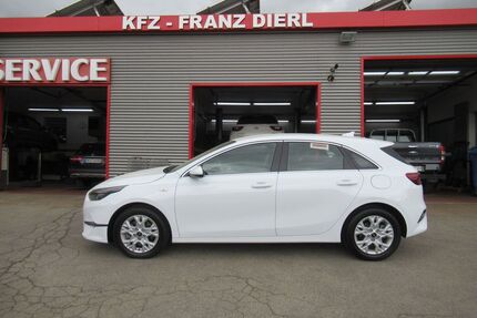 Kia ceed / Ceed Gebrauchtwagen