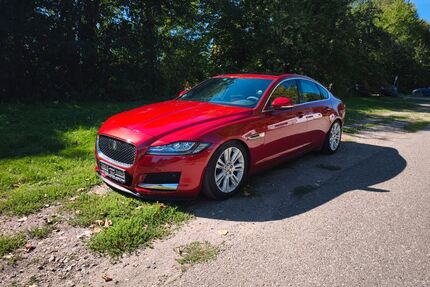 Jaguar XF Gebrauchtwagen
