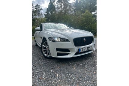 Jaguar XF Gebrauchtwagen