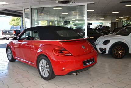 VW Beetle Gebrauchtwagen