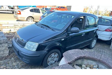 Fiat Panda Gebrauchtwagen
