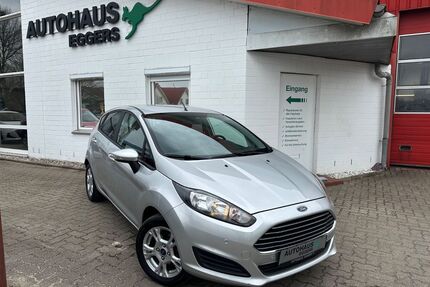 Ford Fiesta Gebrauchtwagen