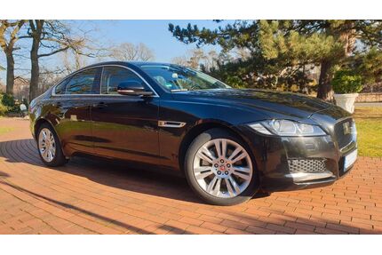 Jaguar XF Gebrauchtwagen